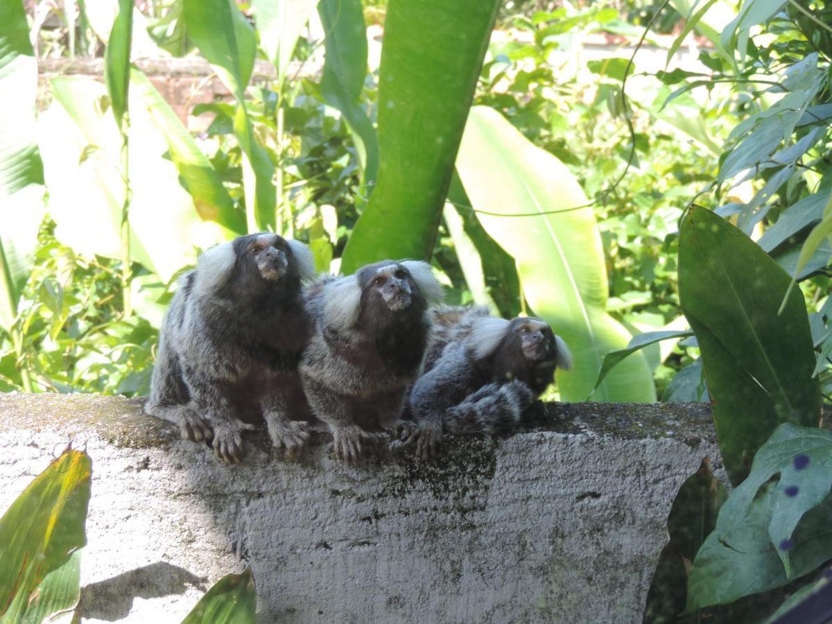 Pousada Tropicalia باراتي المظهر الخارجي الصورة